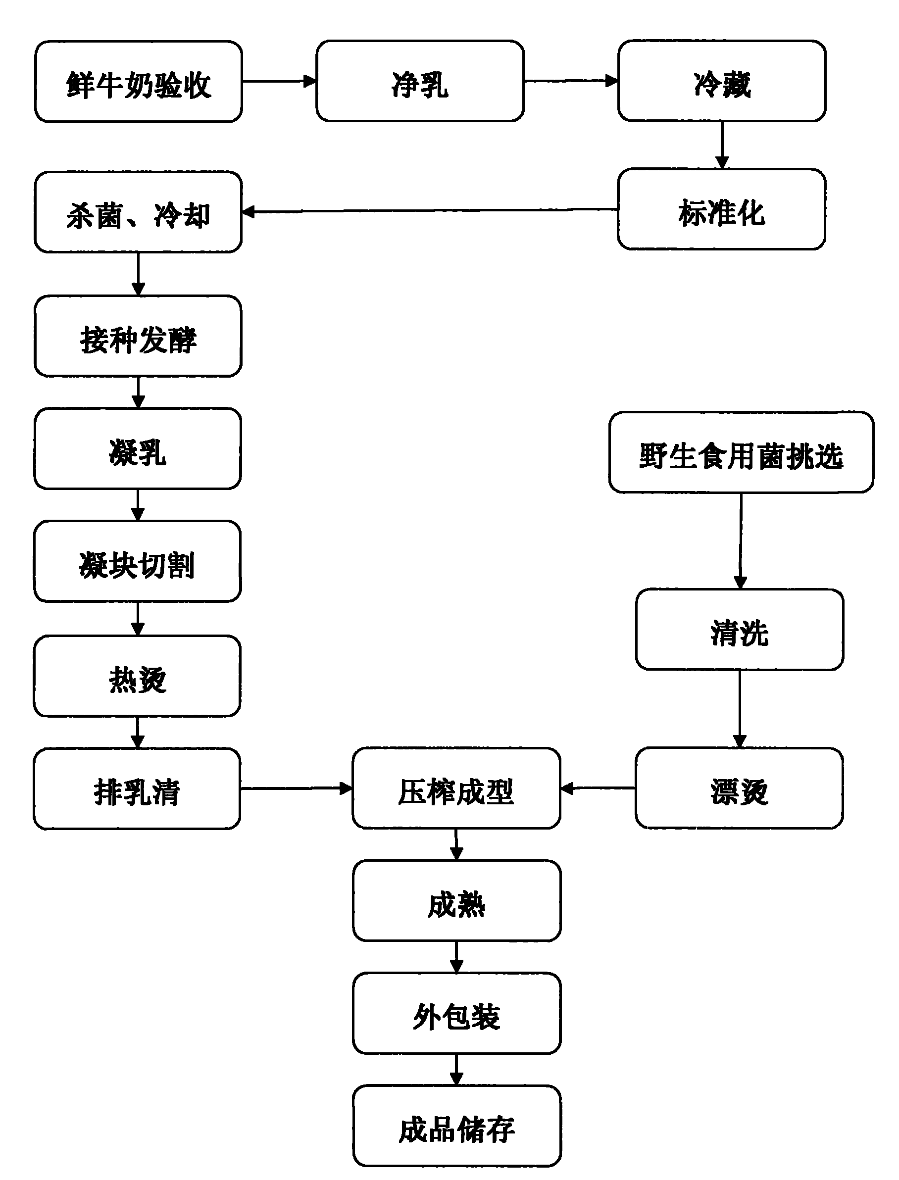 一种野生菌奶酪及其制作工艺